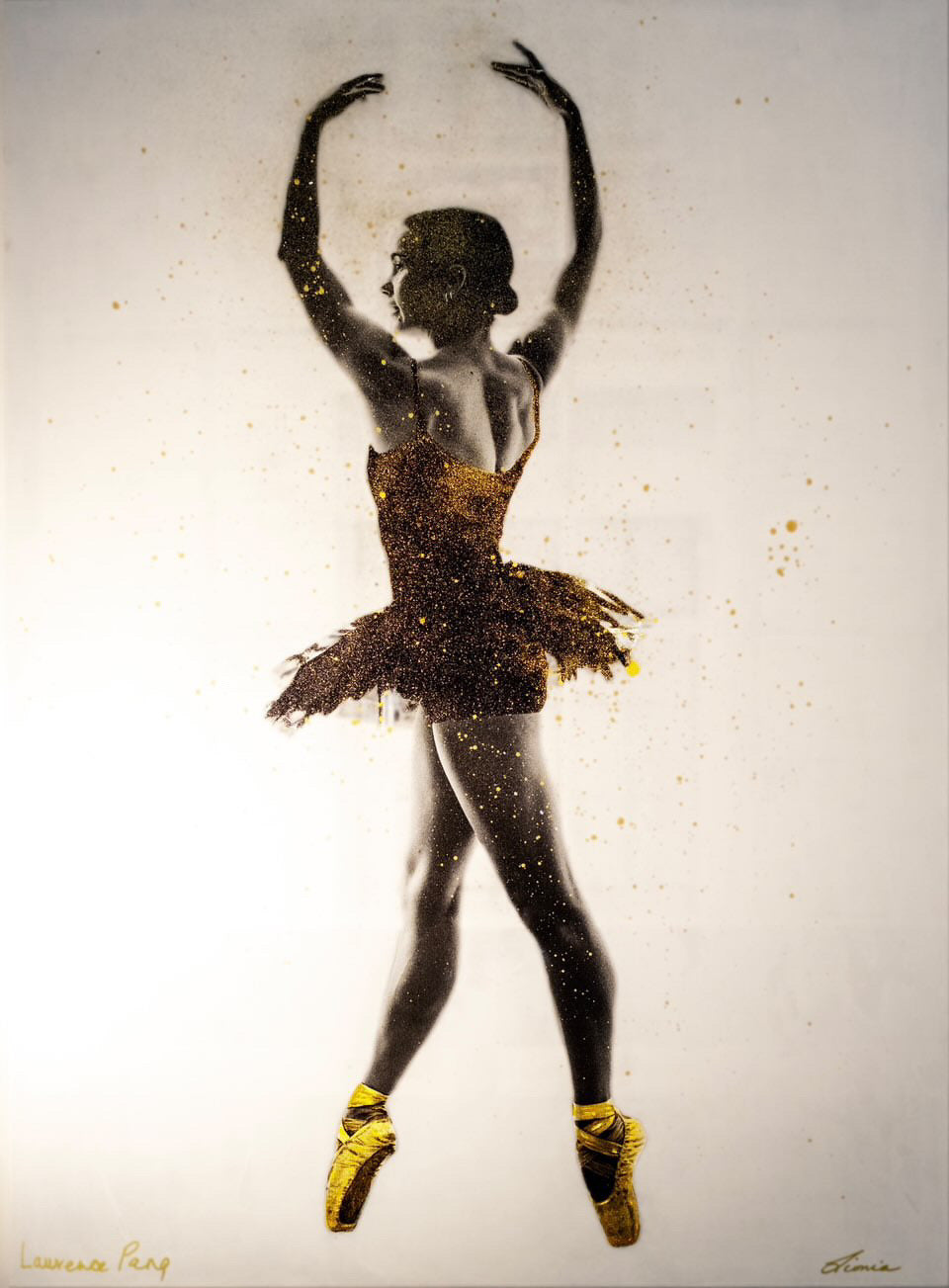 Dazzling Ballerina - by Laurence and Lionia
