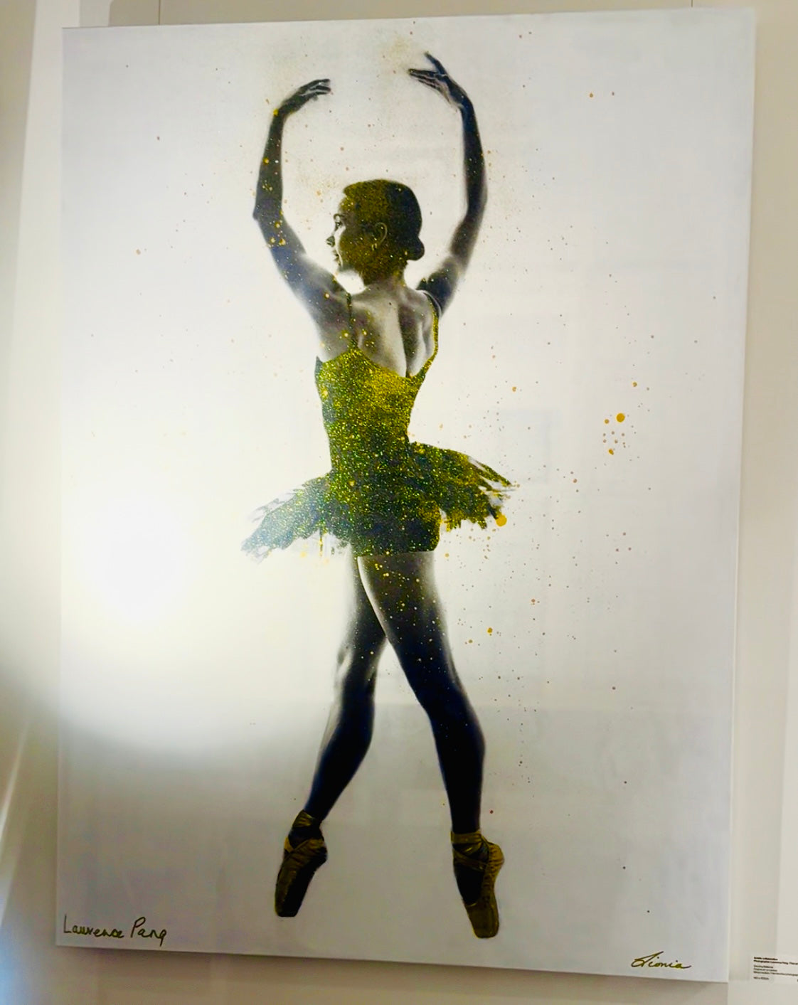 Dazzling Ballerina - by Laurence and Lionia