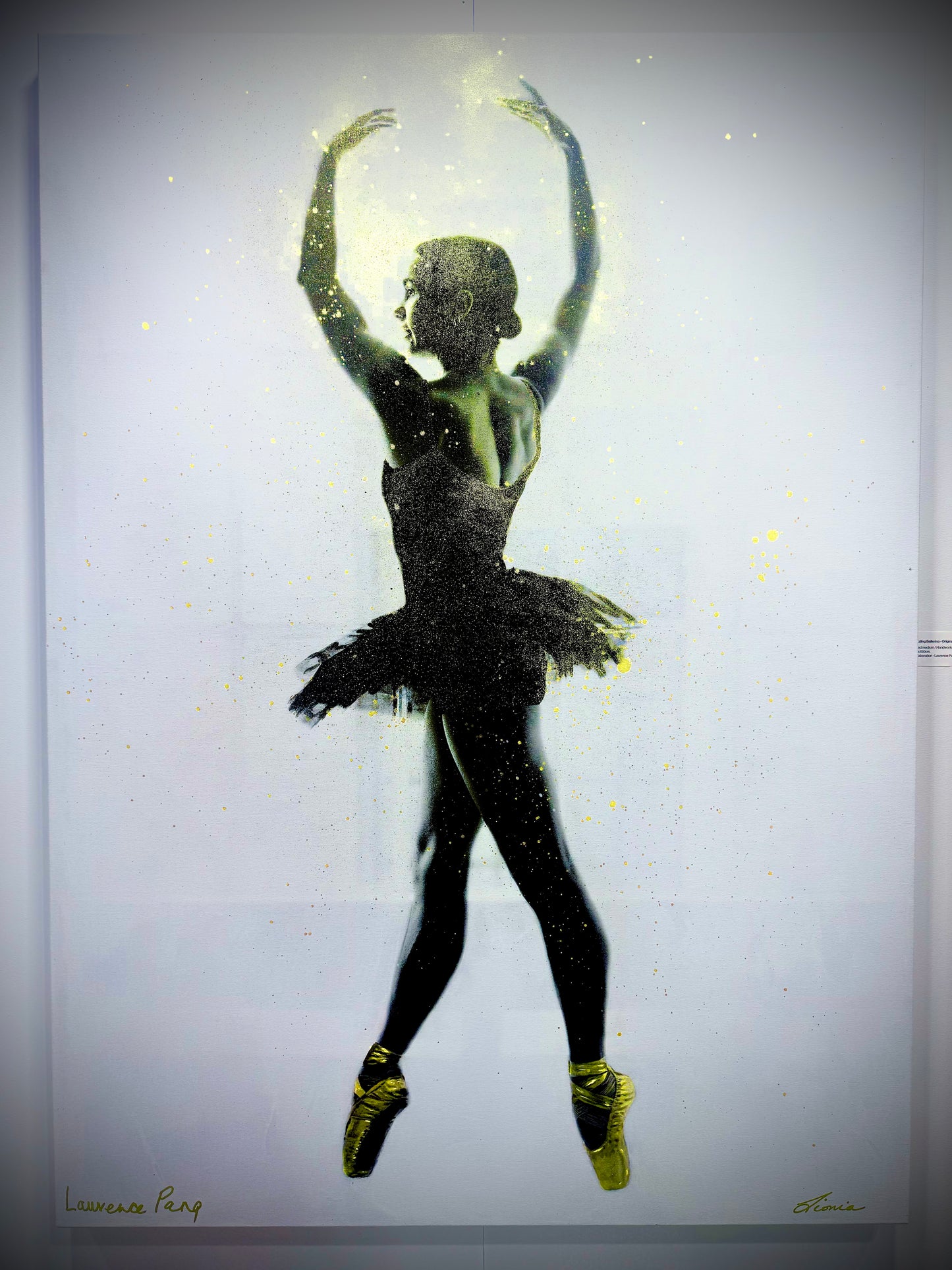 Dazzling Ballerina - by Laurence and Lionia