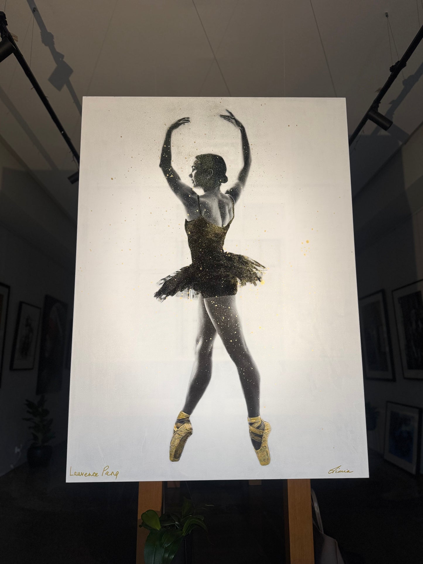 Dazzling Ballerina - by Laurence and Lionia