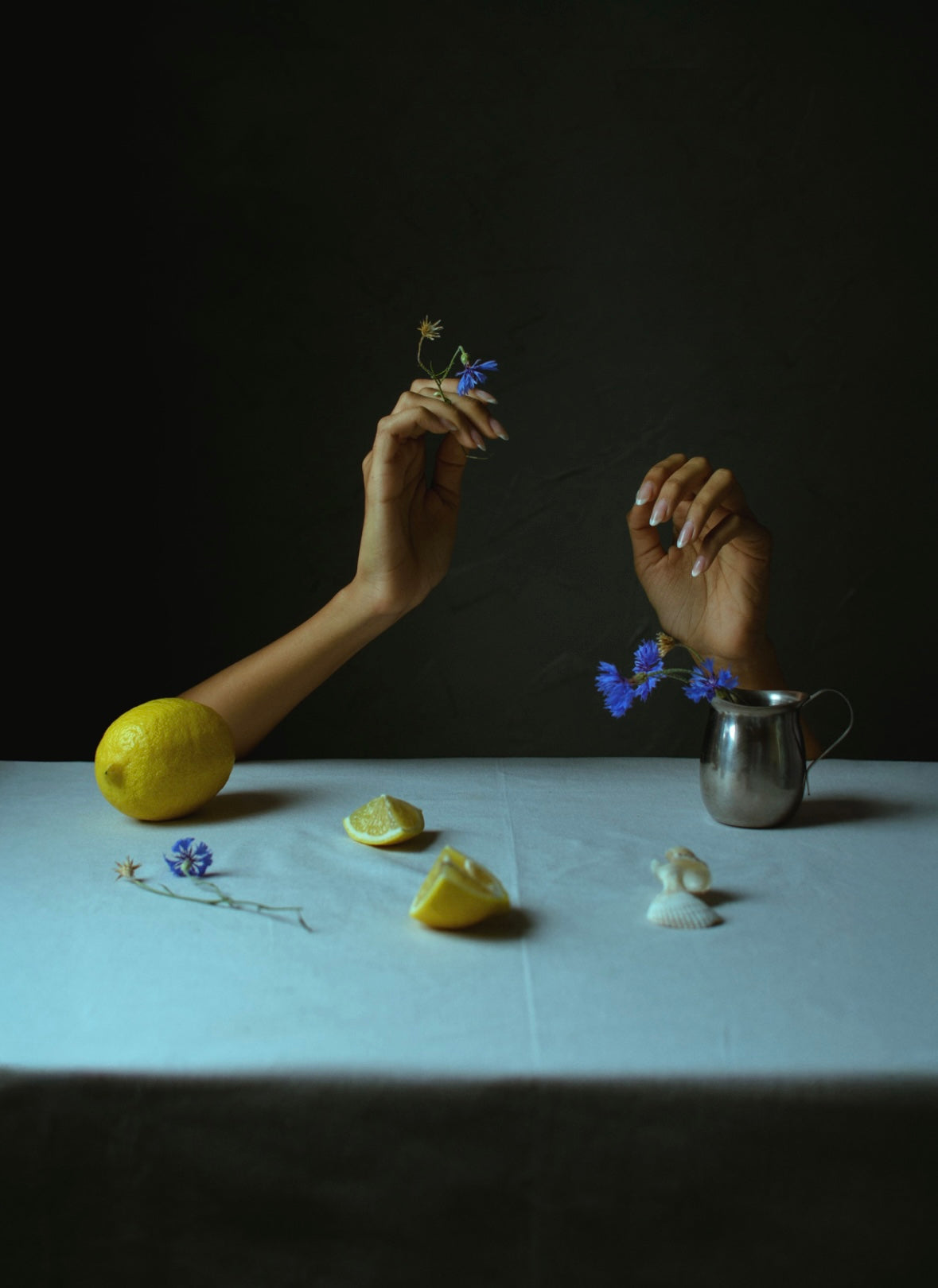 Blue Cornflower - by Irina Denisova