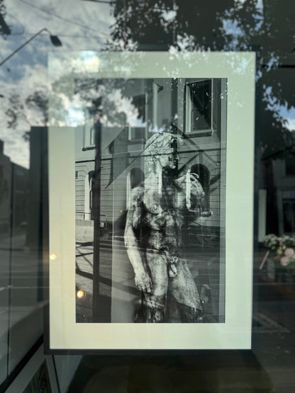 Looking for Prahran / David - by Laurence Pang
