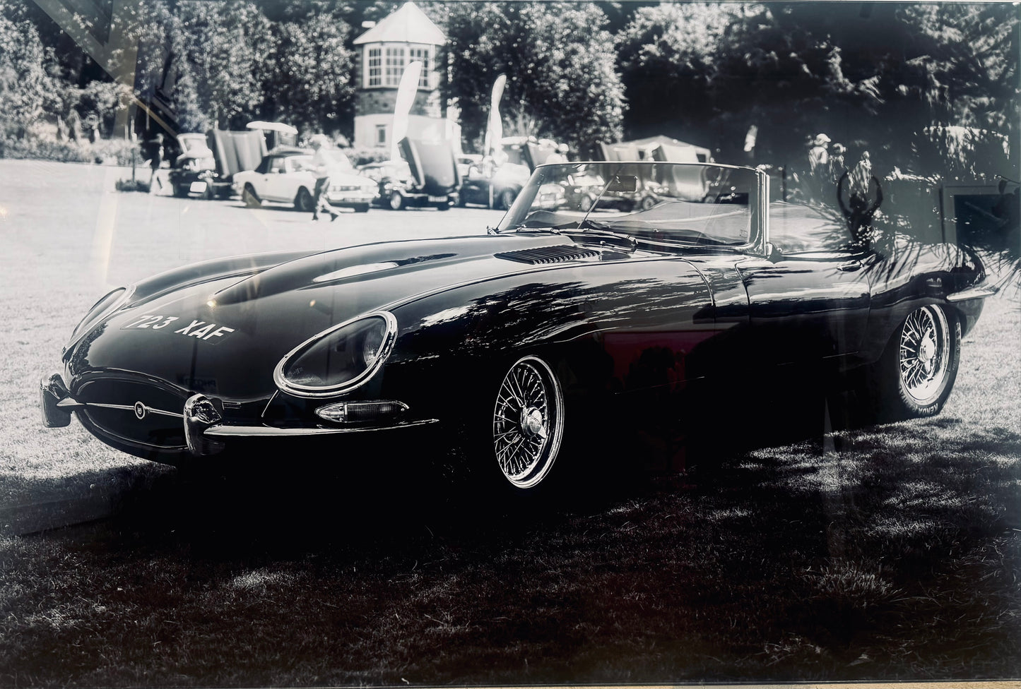 Exmoor Classic (Jaguar)