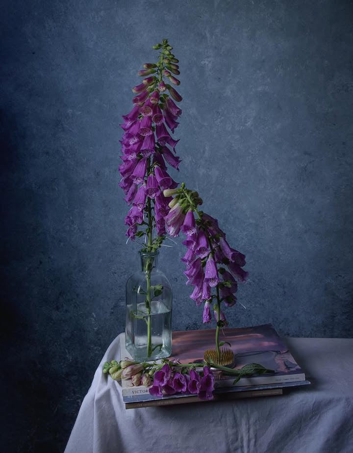 Still Life with Bell Flower - by Irina Denisova