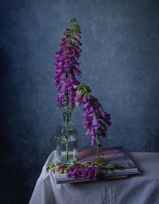 Still Life with Bell Flower - by Irina Denisova