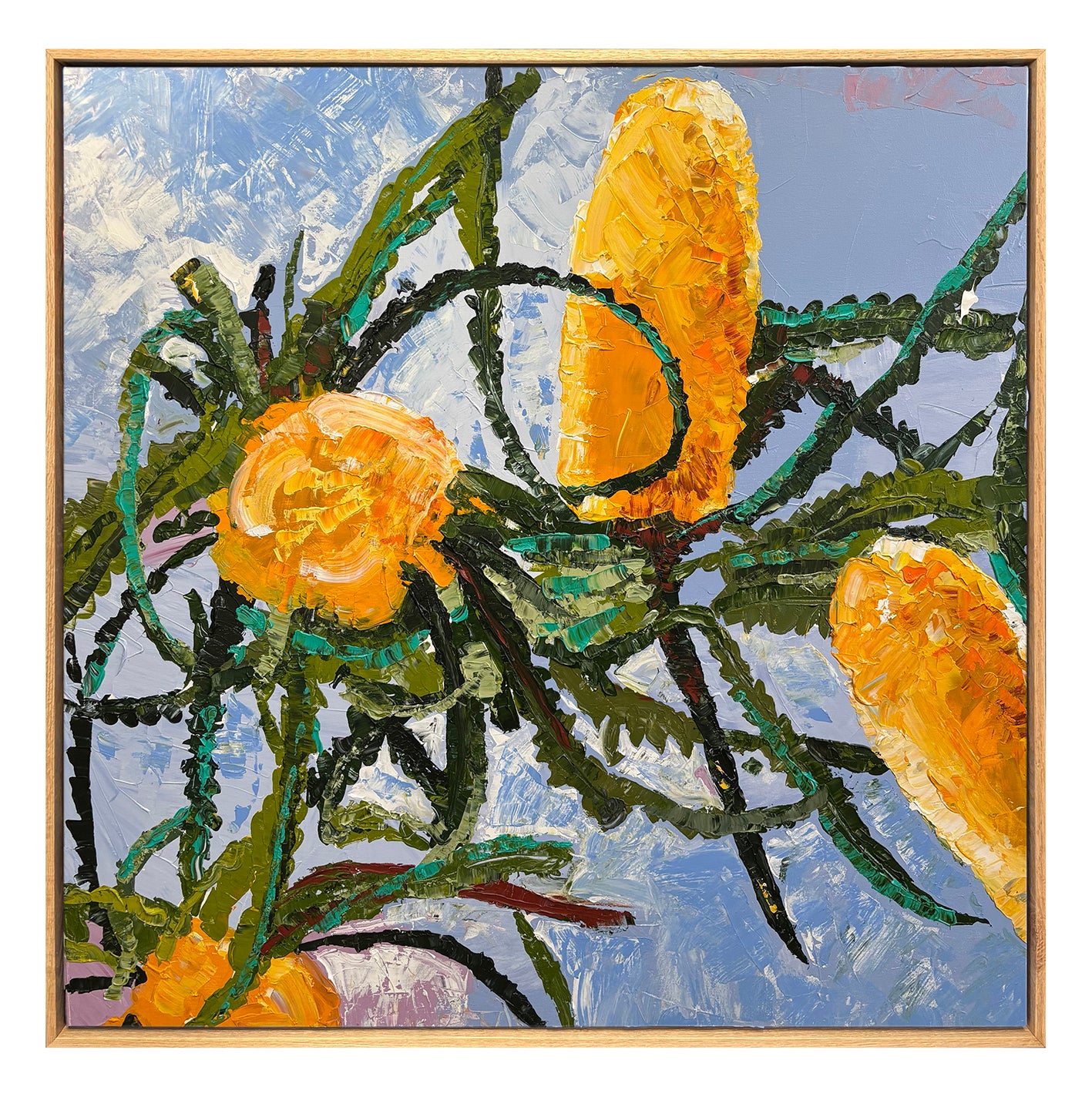 Banksia Dance - by Nancy Cover